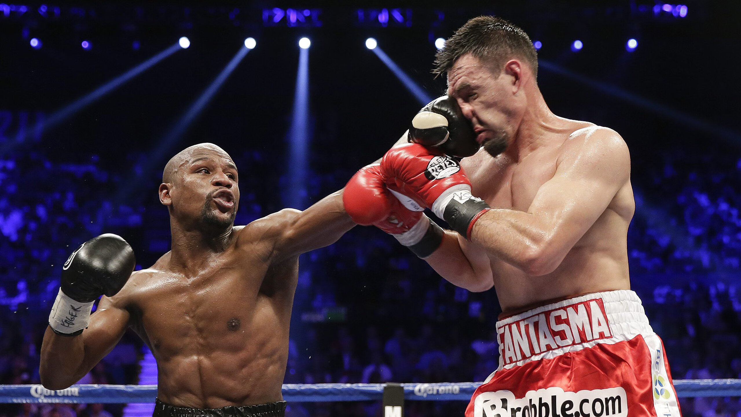 开云平台-东方智慧与北欧风暴，王皓如何用中国心重塑瑞典乒乓血脉